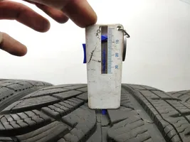 Tesla Model 3 R20 winter tire 