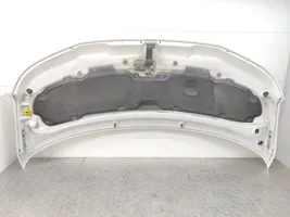 Volkswagen Transporter - Caravelle T5 Engine bonnet/hood 