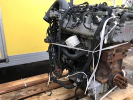 Iveco Daily 35.8 - 9 Moteur 504145196