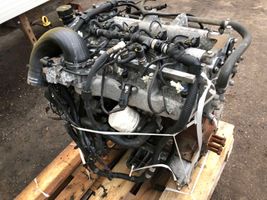 Iveco Daily 35.8 - 9 Moteur 504145196