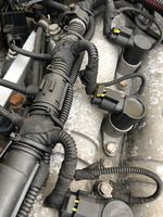 Iveco Daily 35.8 - 9 Moteur 504145196