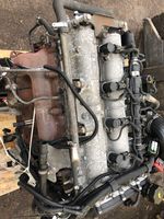 Iveco Daily 35.8 - 9 Moteur 504145196