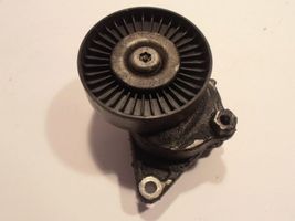 Mercedes-Benz ML W163 Alternator belt tensioner 