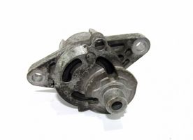 Dacia Logan I Alternator belt tensioner 