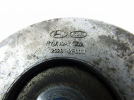 KIA Sorento Alternator belt tensioner 