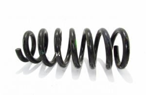 Mitsubishi Pajero Front coil spring 