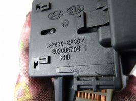 Hyundai Santa Fe Light switch 