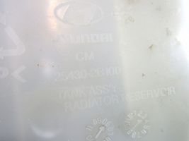 Hyundai Santa Fe Serbatoio di compensazione del liquido refrigerante/vaschetta 