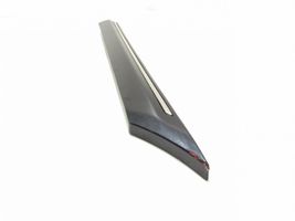 Mercedes-Benz CLC CL203 Rivestimento portiera posteriore (modanatura) 