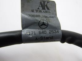 Mercedes-Benz SLK R171 Плюсовый провод (аккумулятора) 