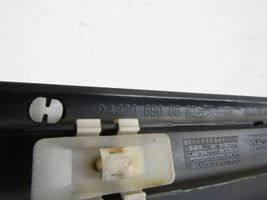 Mercedes-Benz S W220 Front door trim (molding) 