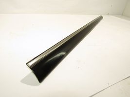 Mercedes-Benz S W220 Front door trim (molding) 