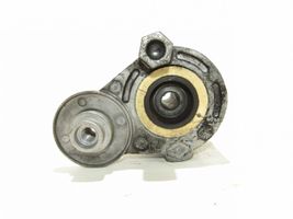 Renault Megane II Napinacz paska wielorowkowego / Alternatora 