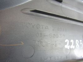 Toyota Land Cruiser (HDJ90) Moulure de porte battante 