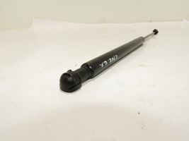 Volkswagen PASSAT CC Tailgate/trunk strut/damper 