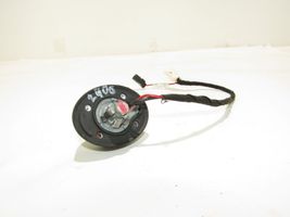 Dodge Journey Radio antena 