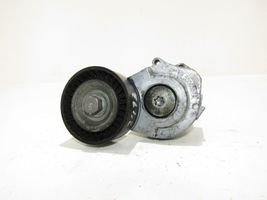 Opel Meriva B Napinacz paska wielorowkowego / Alternatora 