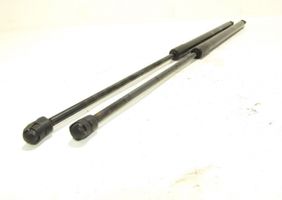 Ford C-MAX II Tailgate/trunk strut/damper 