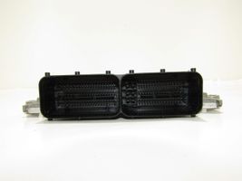 Hyundai Santa Fe Engine control unit/module 