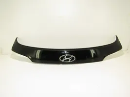 Hyundai Santa Fe Number plate light 