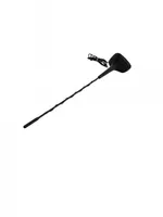 Renault Twingo II Radio antenna 