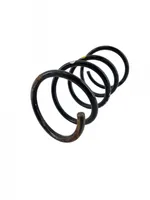 Renault Twingo II Front coil spring 