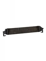 Fiat 500X Radiatore intercooler 