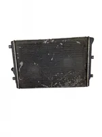 Volkswagen PASSAT B7 Coolant radiator 