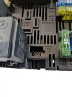 Mercedes-Benz CLS C219 Module de fusibles 