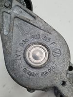 Seat Leon (1M) Napinacz paska alternatora 038903315F