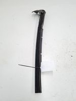 Audi A4 S4 B7 8E 8H Front door rubber seal 8H0839479C