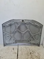 Rover 25 Engine bonnet/hood 