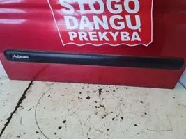 Citroen Berlingo Priekinės durys 