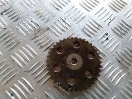 Ford Focus C-MAX Timing chain sprocket 