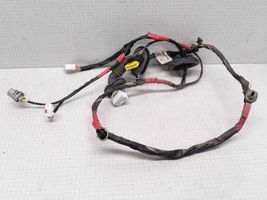 Hyundai Sonata Rear door wiring loom 916503K021