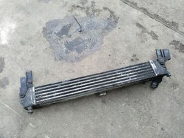 Opel Sintra Chłodnica powietrza doładowującego / Intercooler 