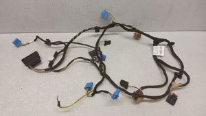 Volkswagen PASSAT B6 Other wiring loom 3C1971566AE