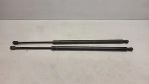 Chrysler Voyager Tailgate/trunk strut/damper 04589502AA