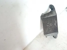 Nissan Atleon Radiatore intercooler 130030051F