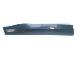 Toyota RAV 4 (XA40) Rivestimento modanatura 7507442050