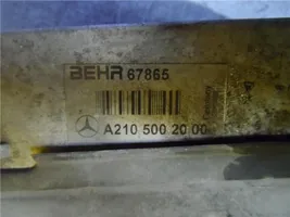 Mercedes-Benz E W210 Radiatore intercooler A2105002000