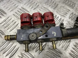 Volvo S80 Injecteur GPL 67R010104