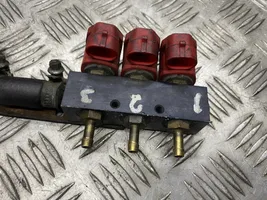 Volvo S80 Injecteur GPL 67R010104