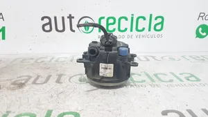 Renault Laguna III Fendinebbia anteriore 8200074000