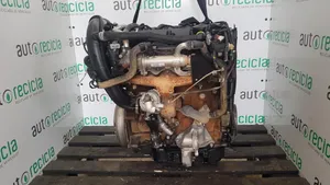 Citroen Berlingo Engine 