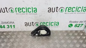 Volkswagen PASSAT Front seatbelt 3C1857705