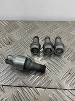 Audi A6 C7 Dadi antifurto e blocco ruota 