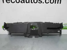 Ford Focus Trim molding 