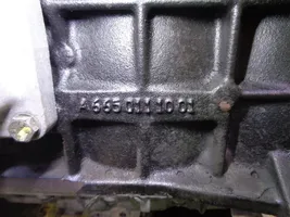 SsangYong Rexton Motor 665925