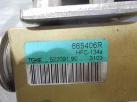 Citroen C2 Ilmastointilaitteen sisälauhdutin (A/C) 665406R